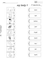 AB-my body-draw-lines 1.pdf